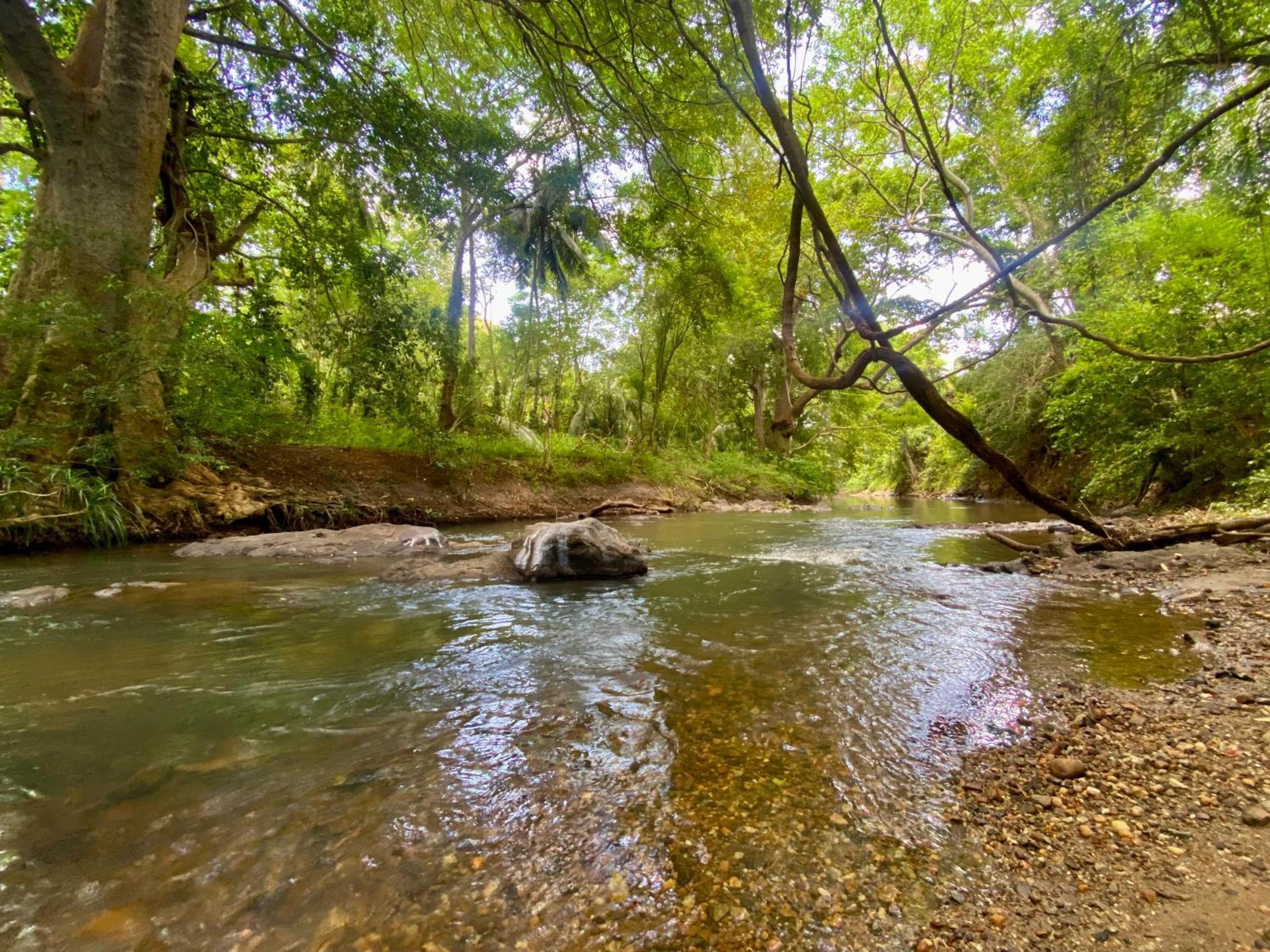 Chika'S Place River View Udawalawa Удавалаве Экстерьер фото